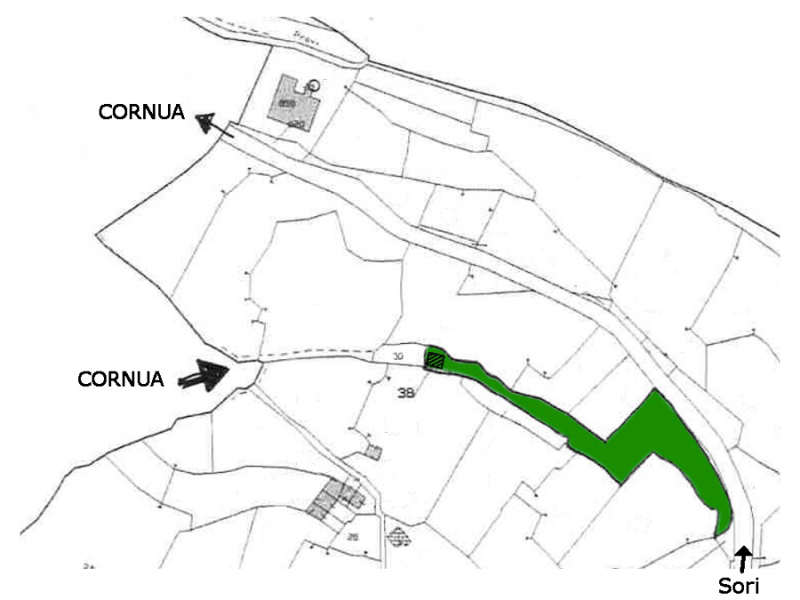 SORI (GE) - Monte Cornua - Rudere con terreno